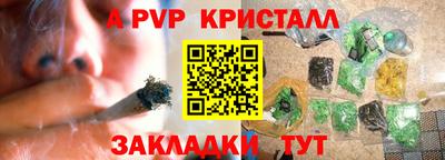 прущие грибы Сланцы