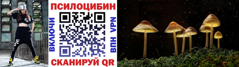 Галлюциногенные грибы ЛСД  это клад  Славгород  наркотики 